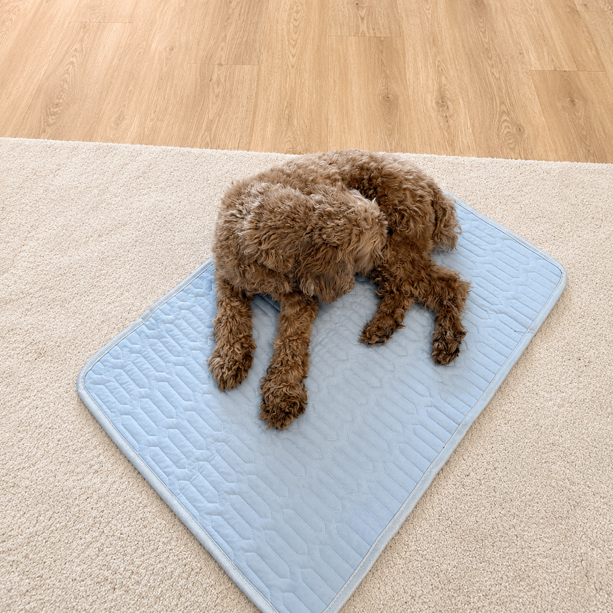 PawCool Cooling Mat