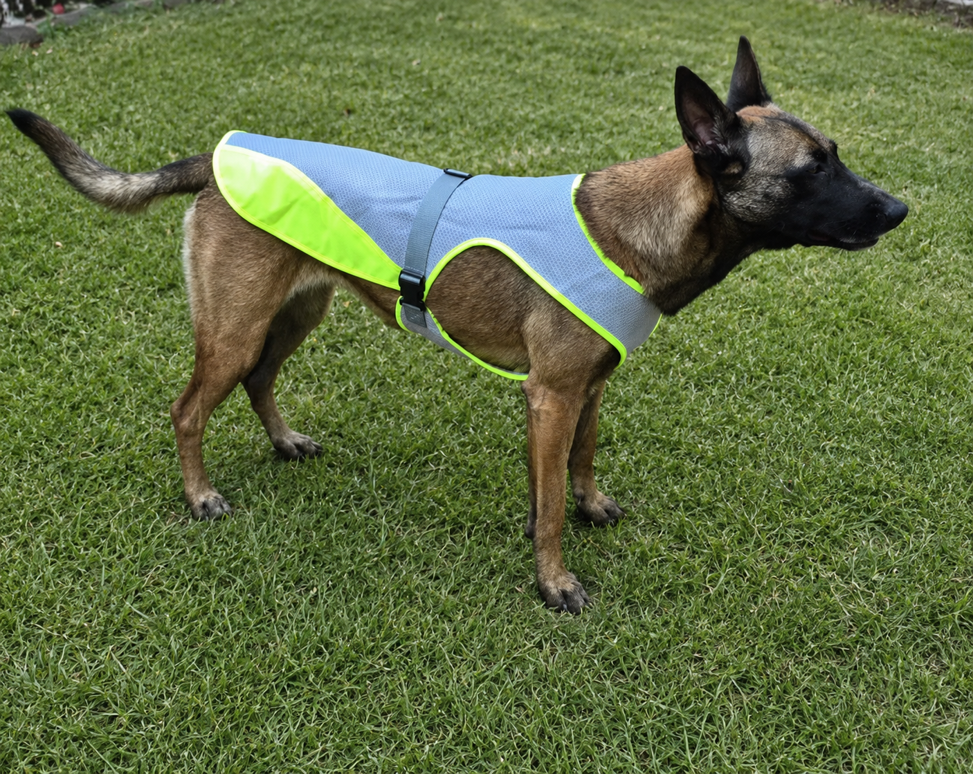PawCool Cooling Vest