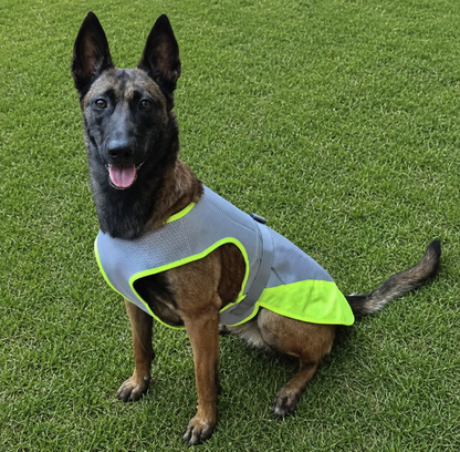 PawCool Cooling Vest