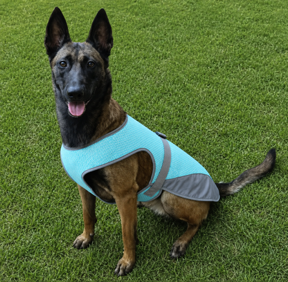 PawCool Cooling Vest