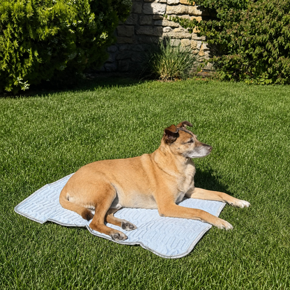 PawCool Cooling Mat