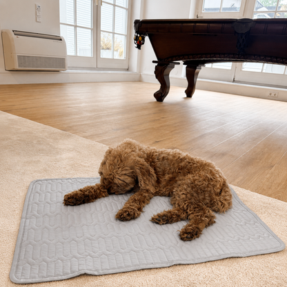 PawCool Cooling Mat