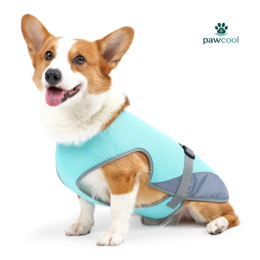 PawCool Cooling Vest — Breathable Summer Vest for Dogs