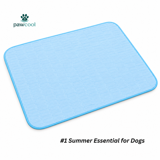 PawCool Cooling Mat