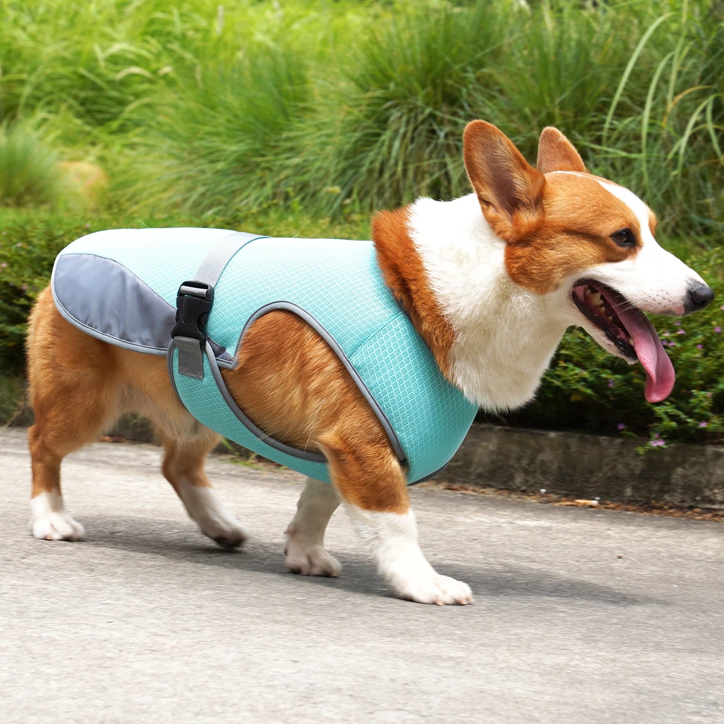 PawCool Cooling Vest — Breathable Summer Vest for Dogs