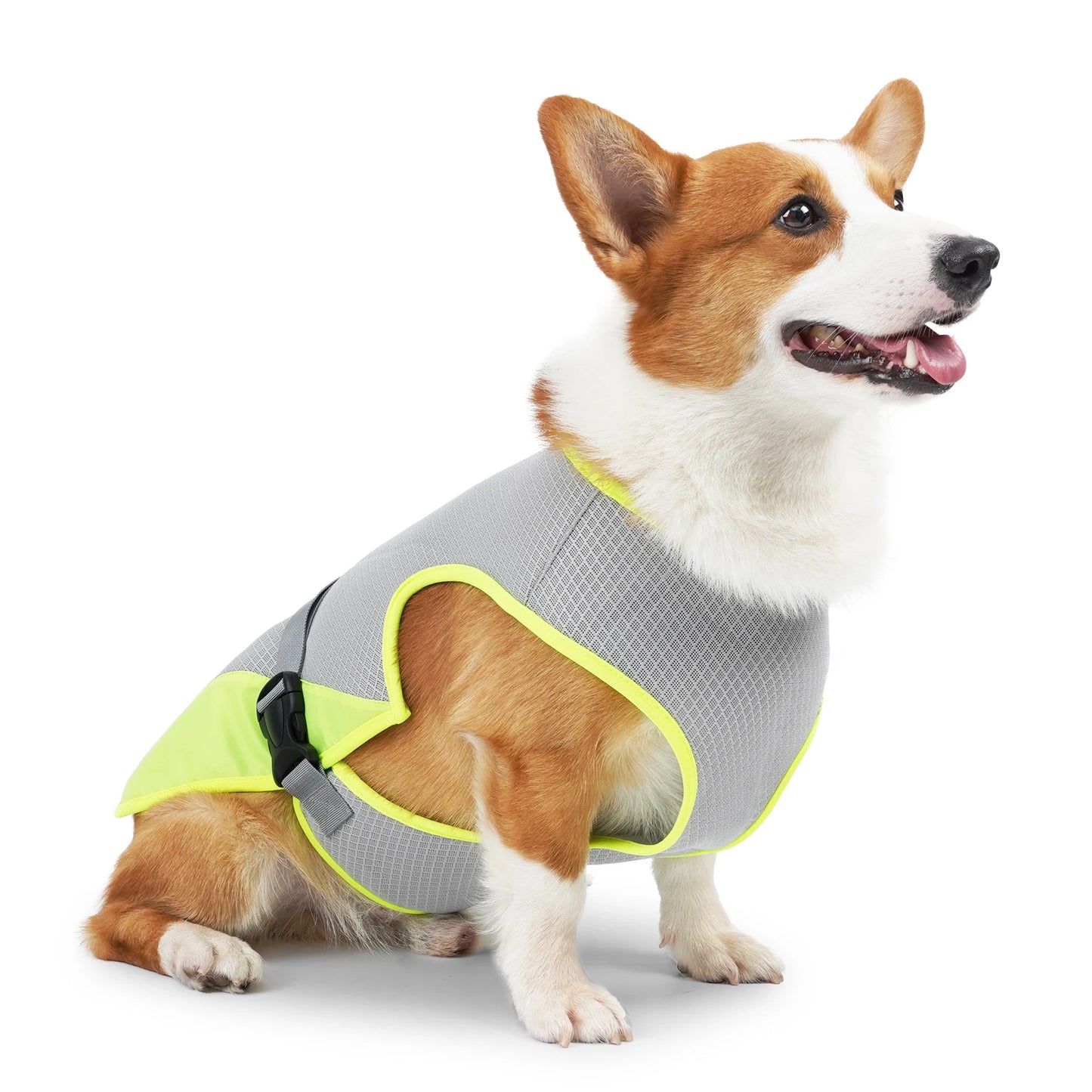 PawCool Cooling Vest — Breathable Summer Vest for Dogs